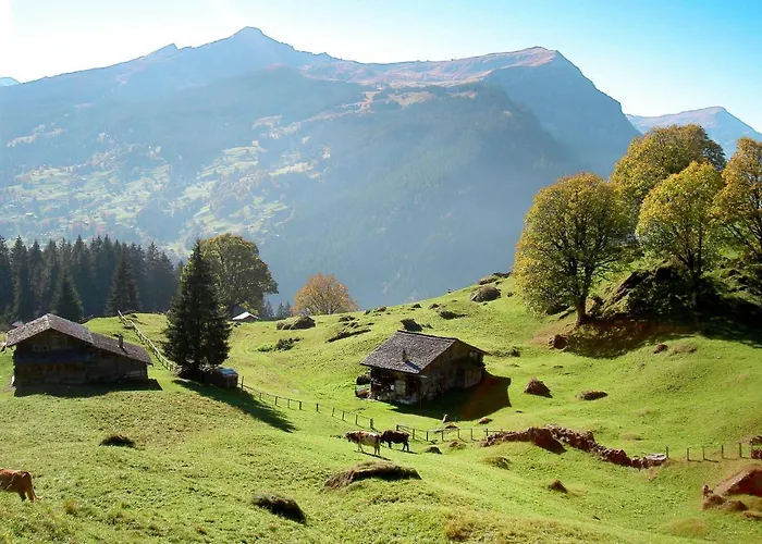 Lejlighed Desiree By Interhome