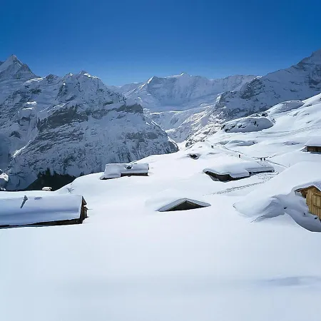 Lejlighed Desiree By Interhome Grindelwald
